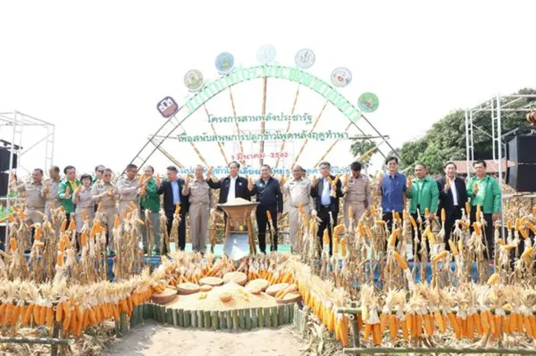 รัฐมนตรีว่าการกระทรวงเกษตรและสหกรณ์ลงพื้นที่นครสวรรค์ เยี่ยมชมแปลงข้าวโพดเกษตรกรทยอยเก็บเกี่ยวผลผลิตสร้างรายได้เฉลี่ย 8,040 บาท/ไร่