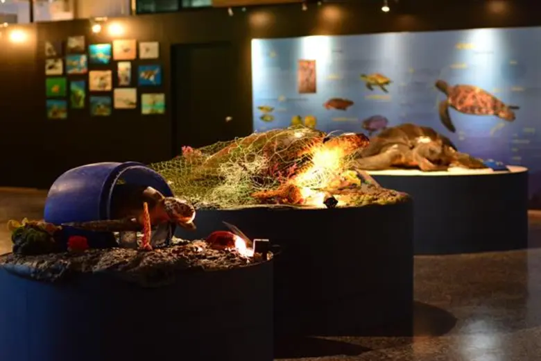 องค์การพิพิธภัณฑ์วิทยาศาสตร์แห่งชาติ (อพว...