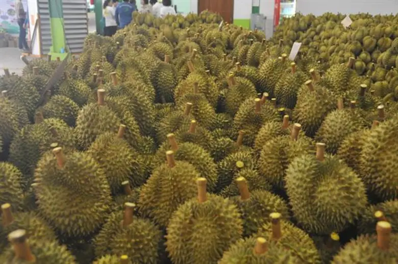 คณะวิศวกรรมศาสตร์ จุฬาลงกรณ์มหาวิทยาลัย