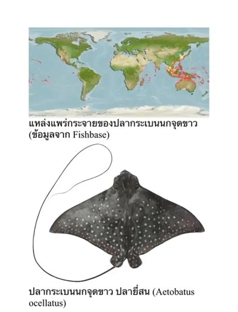 กลายเป็นประเด็นเดือดในโลกโซเชียลมีเดียทัน...