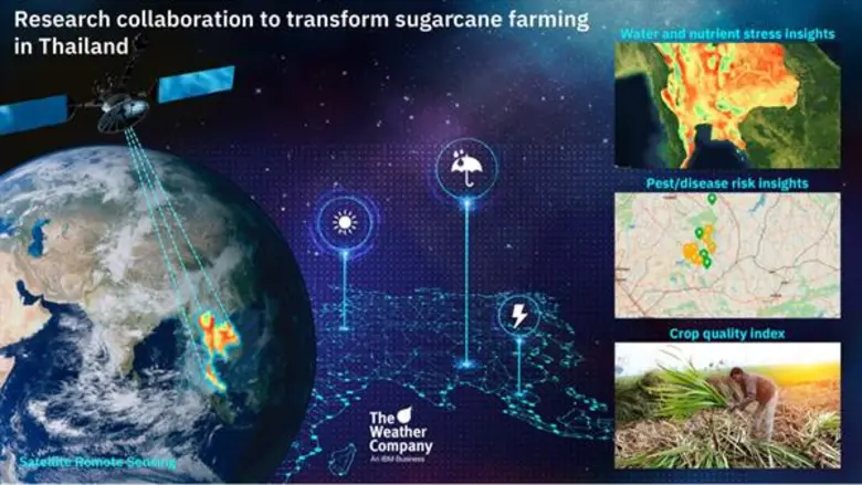 คาดโครงการวิจัยที่ใช้เทคโนโลยีปัญญาประดิษ...