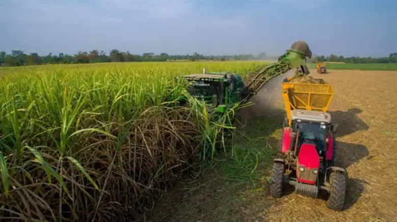 สวทช. และสถาบันวิจัยไอบีเอ็ม จับมือนำปัญญาประดิษฐ์พลิกโฉมการทำไร่อ้อยในประเทศไทยร่วมกับกลุ่มมิตรผล