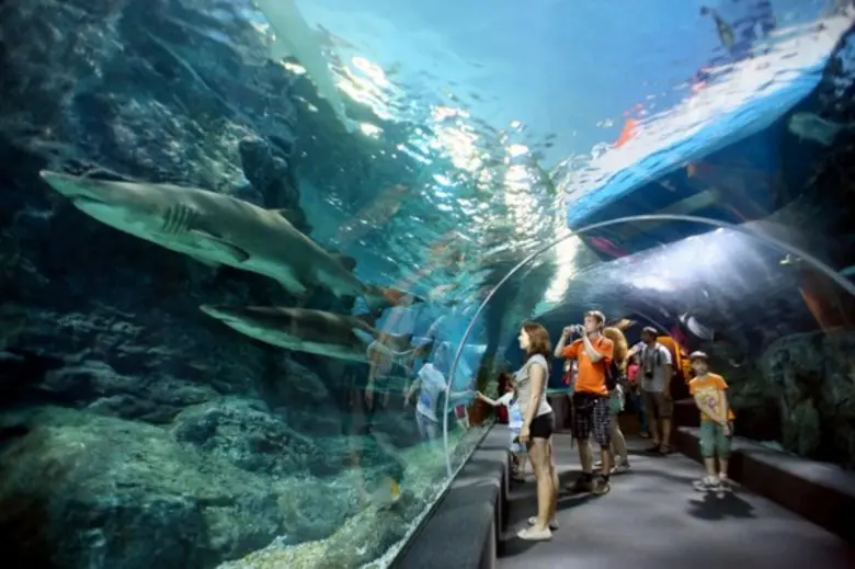 “วันสยาม”  เปิดประสบการณ์มหัศจรรย์สุดพิเศษ ค้นพบเดสติเนชั่นแห่งความสุขกับครอบครัวที่ไม่ไปไม่ได้แล้ว