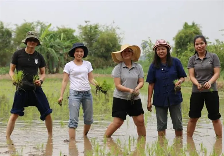 ฟู๊ดแล็บ ผนึก สสส. แถลงผลสำเร็จ 1 ปี Organic Tourism เผยโรงแรม ร้านอาหารแบรนด์ดัง ตื่นตัวจับมือเกษตรกร สร้างระบบอาหารสมดุล ตั้งเป้าดึงลูกค้าปรับเปลี่ยนพฤติกรรมการบริโภค เล็งพาทัวร์ออร์แกนิกฟาร์ม