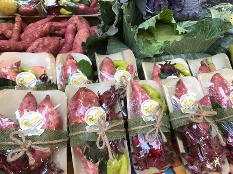 ฟู๊ดแล็บ ผนึก สสส. แถลงผลสำเร็จ 1 ปี Organic Tourism เผยโรงแรม ร้านอาหารแบรนด์ดัง ตื่นตัวจับมือเกษตรกร สร้างระบบอาหารสมดุล ตั้งเป้าดึงลูกค้าปรับเปลี่ยนพฤติกรรมการบริโภค เล็งพาทัวร์ออร์แกนิกฟาร์ม