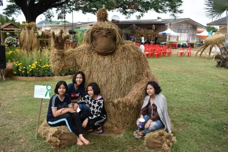 กรมการข้าวแนะชาวนาใช้ประโยชน์จากฟางข้าว งดเผาลดมลพิษ สร้างรายได้