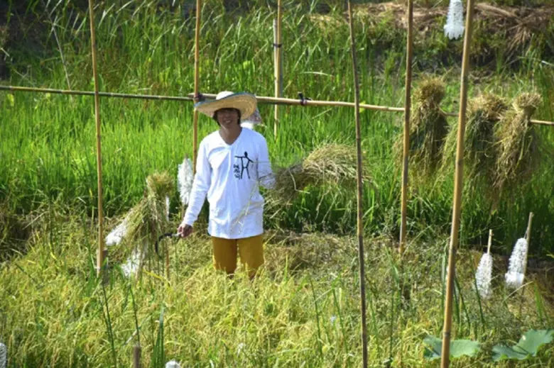 ปรากฏการณ์นิเวศน์สุนทรีย์ – ปฐมบท "คนรักนา มา/หา/นค...