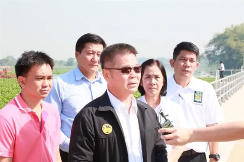 ยผ.ร่วมมือนครปฐมเดินหน้าจัดเก็บผักตบชวาแล...