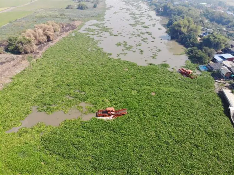 ยผ.ร่วมมือนครปฐมเดินหน้าจัดเก็บผักตบชวาและวัชพืช