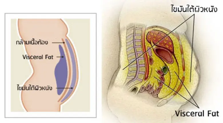 การรับประทานอาหารของคนไทยในปัจจุบันแตกต่า...
