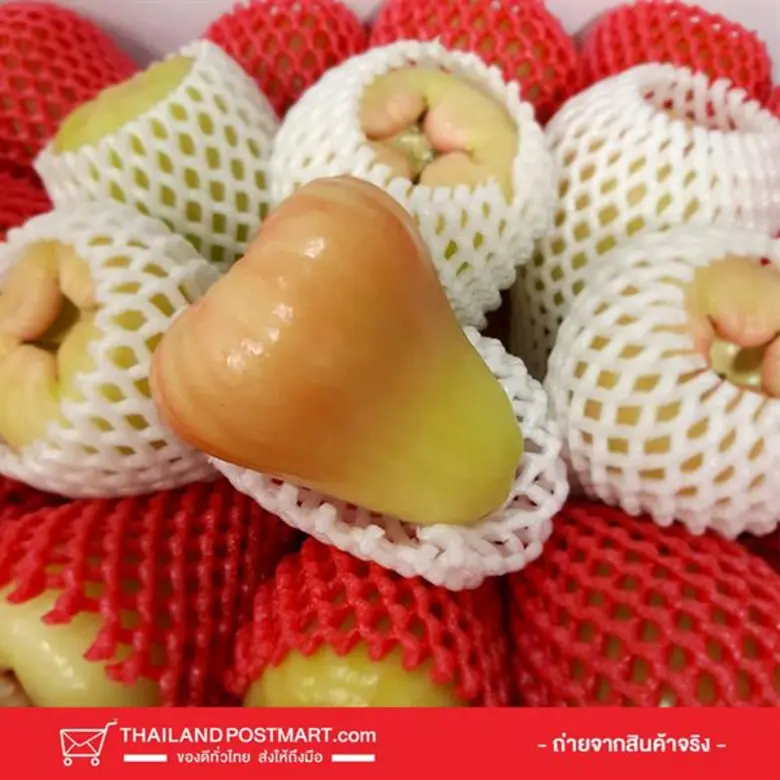 ไปรษณีย์ไทย ช่วยเกษตรกรกระจายผลผลิตสู่ผู้บริโภคส่ง 3 สุดยอดผลไม้หน้าร้อนเกรดพรีเมียม