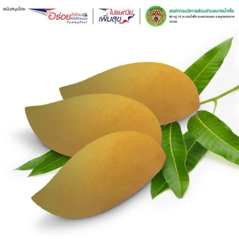 ไปรษณีย์ไทย ช่วยเกษตรกรกระจายผลผลิตสู่ผู้บริโภคส่ง 3 สุดยอดผลไม้หน้าร้อนเกรดพรีเมียม