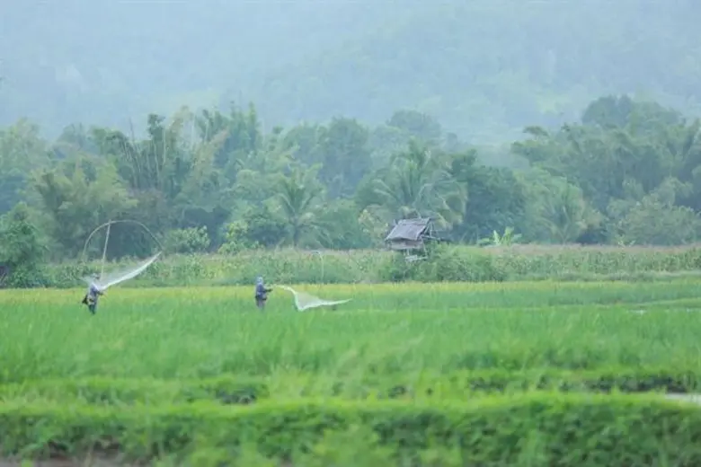 “พัดทดน้ำ”ภูมิปัญญาการจัดการน้ำบ้านนาหมูม่น ประติมากรรมมีชีวิตแห่งลุ่มน้ำหมัน
