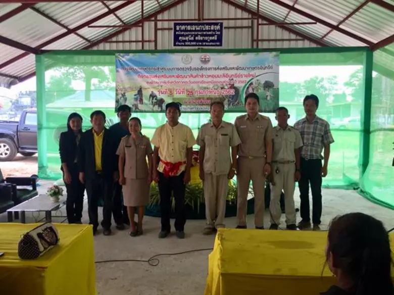 กลุ่มวิสาหกิจชุมชนบ้านหนองมัง ผลสำเร็จจากการทำอินทรีย์ทฤษฎีใหม่ ต้นทุนลด รายได้งาม