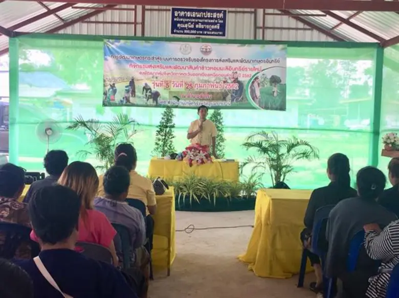 กลุ่มวิสาหกิจชุมชนบ้านหนองมัง ผลสำเร็จจากการทำอินทรีย์ทฤษฎีใหม่ ต้นทุนลด รายได้งาม