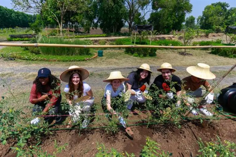 เมื่อเร็ว ๆ นี้ บริษัท กัลฟ์ เอ็นเนอร์จี ...