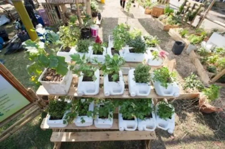 ตามรอยพ่อสไตล์ชาวกรุงด้วย “สวนคนเมือง” ก้าวข้ามข้อจำกัดด้านพื้นที่ เสริมสร้างสุขภาพที่ดี และยกระดับคุณภาพชีวิตของคนกรุง