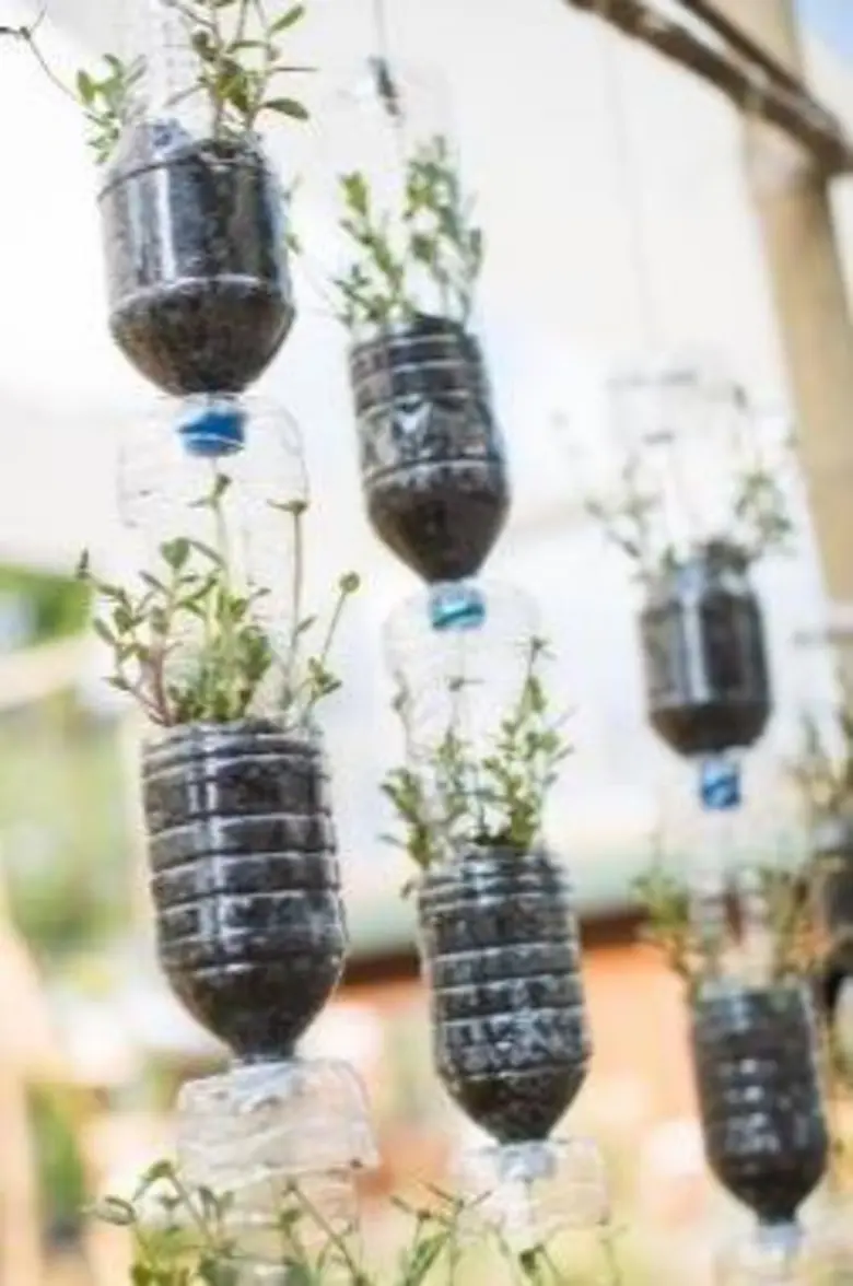 ตามรอยพ่อสไตล์ชาวกรุงด้วย “สวนคนเมือง” ก้าวข้ามข้อจำกัดด้านพื้นที่ เสริมสร้างสุขภาพที่ดี และยกระดับคุณภาพชีวิตของคนกรุง