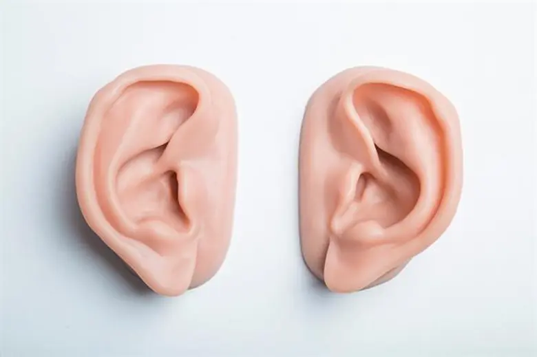 ใบหน้าเป็นที่รวมส่วนประกอบของหลายอวัยวะที...