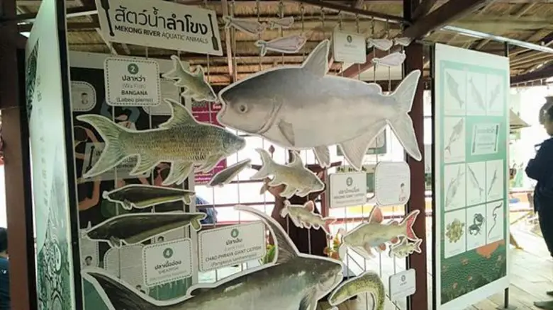 งานวิจัยท้องถิ่น ต่อลมหายใจประมงเชียงคาน