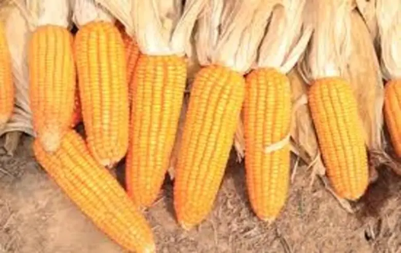 นายฉันทานนท์ วรรณเขจร รองเลขาธิการสำนักงา...