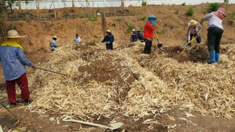 “สำราญ” ลุยสั่งการ ห้ามเผา ย้ำเกษตรจังหวัด ลงพื้นที่ให้คำแนะนำ เปลี่ยนวัสดุเกษตรให้เป็นวัสดุมีค่า