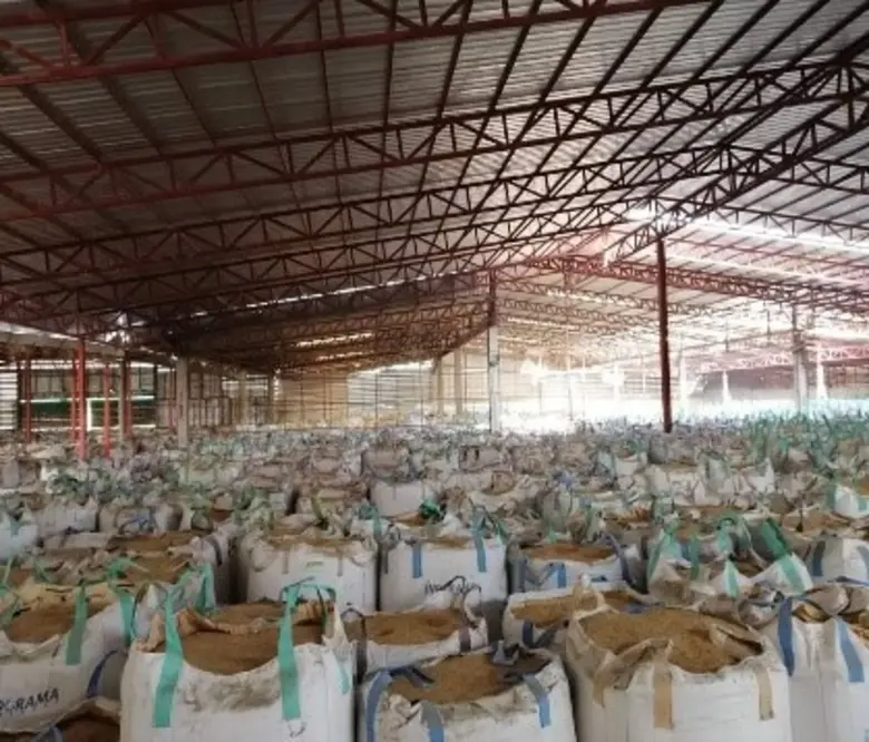 ไทยนิยมยั่งยืนสร้างเสถียรภาพราคาสินค้าเกษตร หลังรัฐบาลอุดหนุนงบให้สหกรณ์สร้างแก้มลิงดูดซับผลผลิตไม่น้อยกว่า 700,000 ตันต่อปี