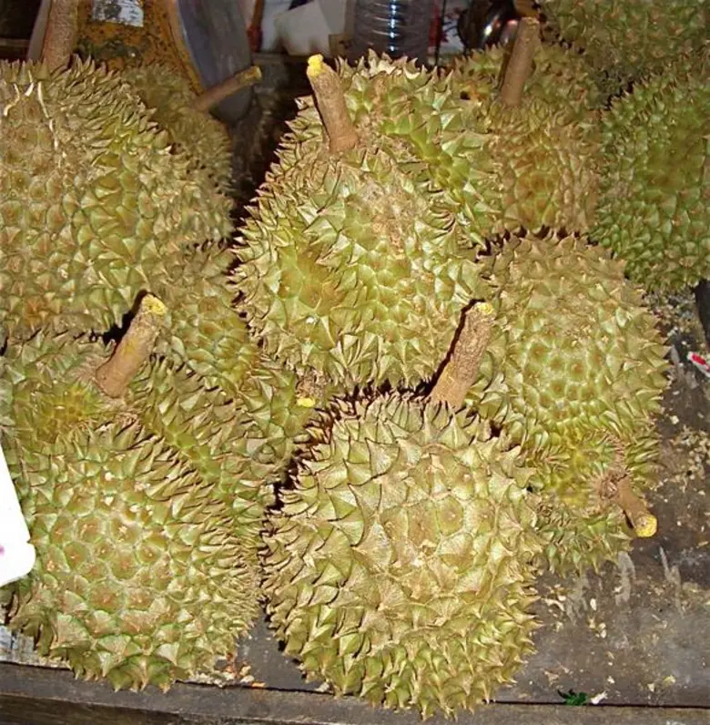 นายฉันทานนท์ วรรณเขจร รองเลขาธิการสำนักงา...