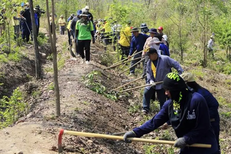 กรมป่าไม้ชู“โครงการซีพีเอฟ รักษ์นิเวศ ลุ่มน้ำป่าสัก เขาพระยาเดินธง” ต้นแบบฟื้นฟูป่า