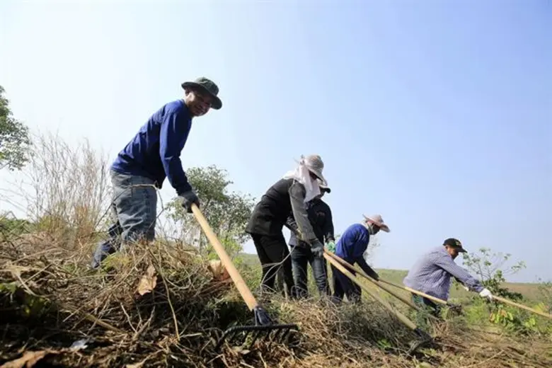 กรมป่าไม้ชู“โครงการซีพีเอฟ รักษ์นิเวศ ลุ่มน้ำป่าสัก เขาพระยาเดินธง” ต้นแบบฟื้นฟูป่า