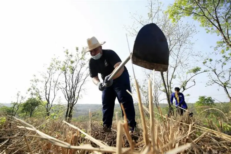 กรมป่าไม้ชู“โครงการซีพีเอฟ รักษ์นิเวศ ลุ่มน้ำป่าสัก เขาพระยาเดินธง” ต้นแบบฟื้นฟูป่า