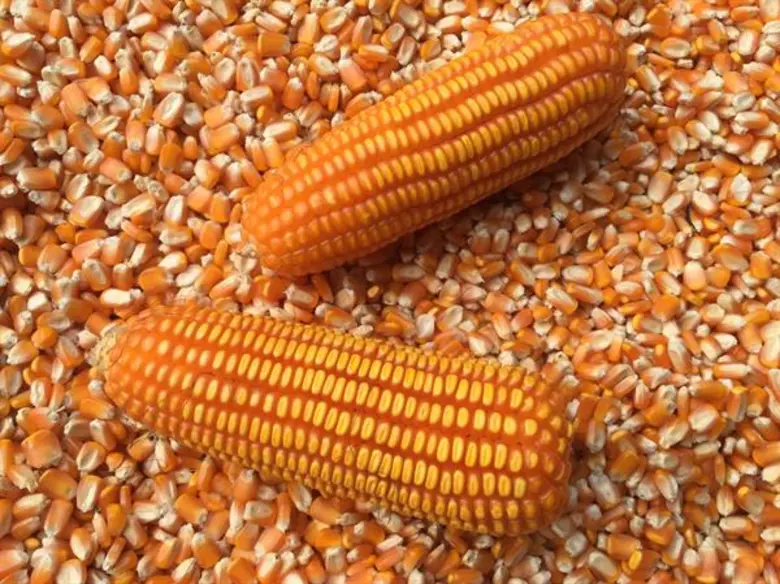 นางอัญชนา ตราโช รองเลขาธิการสำนักงานเศรษฐ...