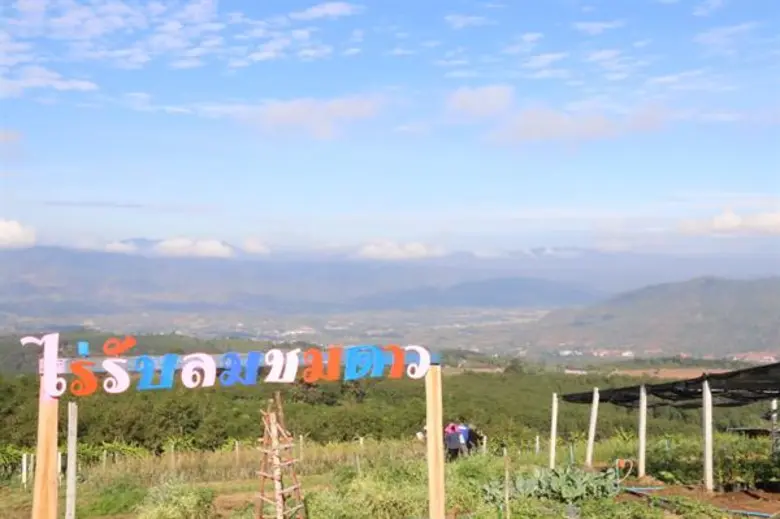 โดย การนำผลงานวิจัยไปใช้ประโยชน์และสื่อสา...