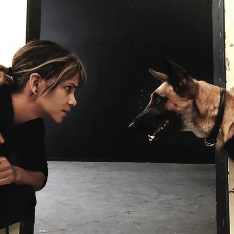 การกลับมาของจักรวาลนักฆ่าแห่งวงการภาพยนตร...