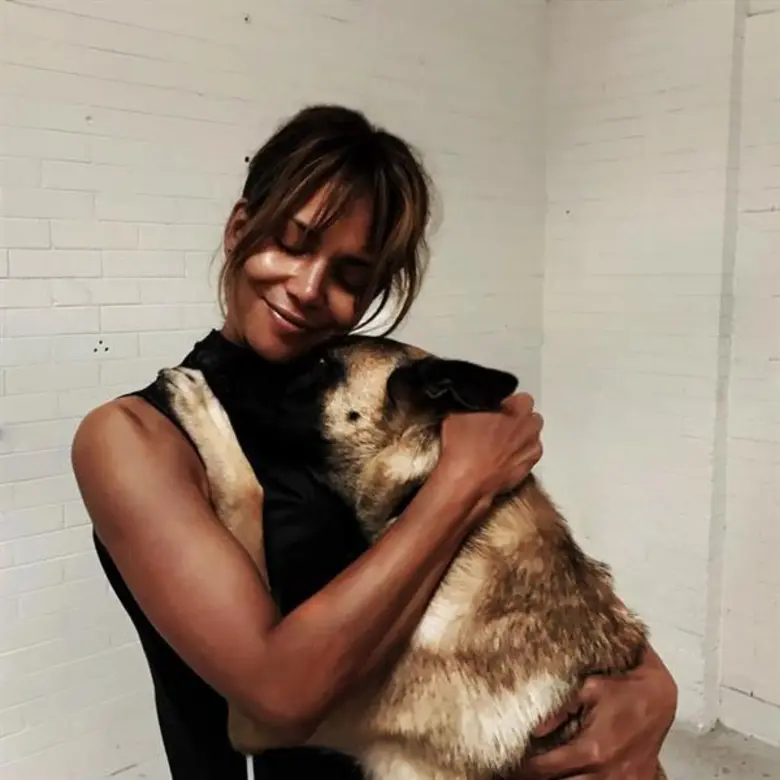 Movie Guide: ฮัลลี่ เบอร์รี่ ทุ่มสุดตัว เทรนนิ่งหมาพันธุ์ดุใน JOHN WICK: CHAPTER 3 – PARABELLUM”