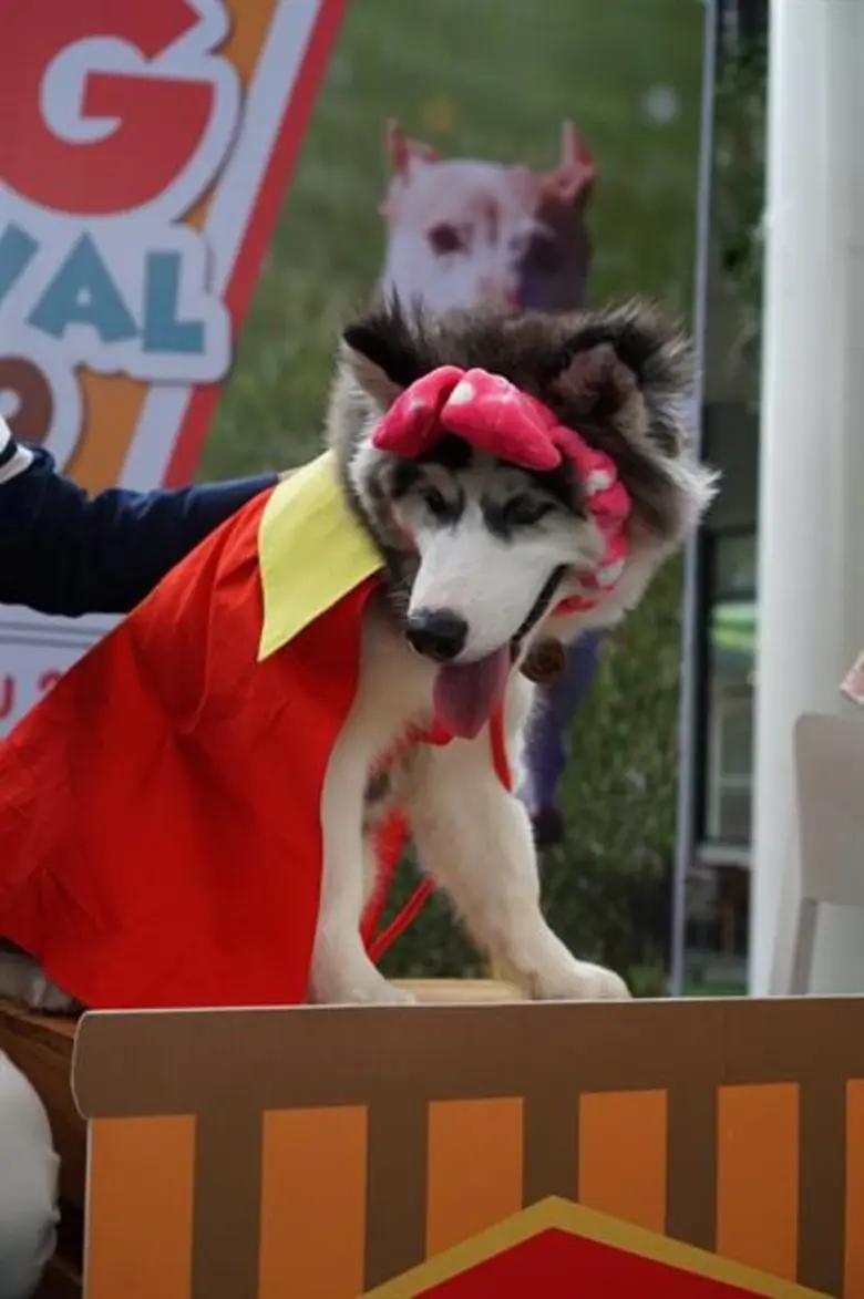 มาแรงแซงทุกกระแสสำหรับเทรนด์วิ่งมาราธอน ท...