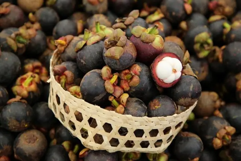 10 ที่สุด!! ในงาน “The Original Thailand’s Amazing Durian and Fruit Fest 2019” ต้นตำรับเทศกาลบุฟเฟ่ต์ทุเรียนและสุดยอดผลไม้ไทยที่ใหญ่ที่สุดในประเทศไทย ครั้งที่ 4 ที่คุณอาจไม่เคยรู้มาก่อน!!