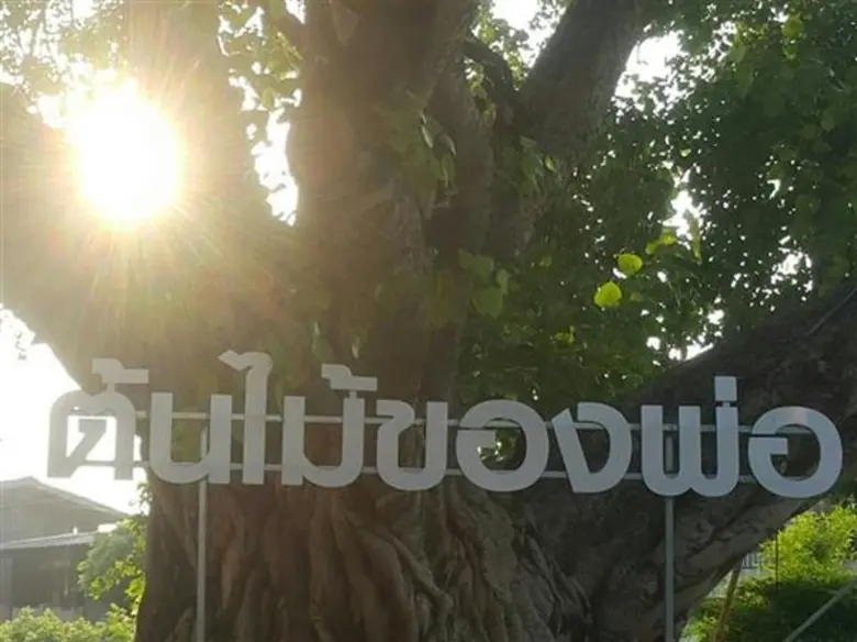 Bike Finder Ride To Local ปั่นจักรยานล่องท่องเมืองกาญจน์