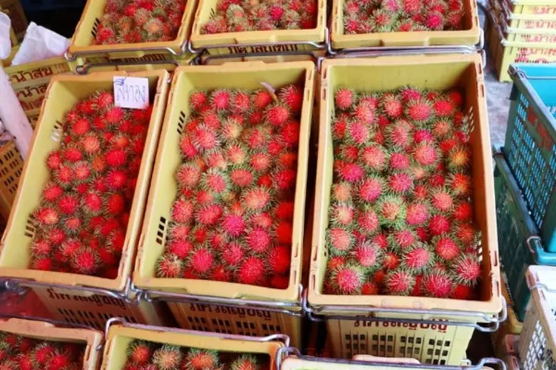 ตลาดสี่มุมเมืองพร้อมรองรับผลไม้ภาคตะวันออก "ทุเรียน เงาะ มังคุด..."