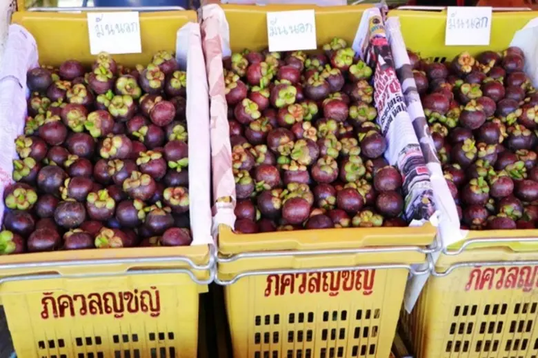 ตลาดสี่มุมเมืองพร้อมรองรับผลไม้ภาคตะวันออก "ทุเรียน เงาะ มังคุด..."