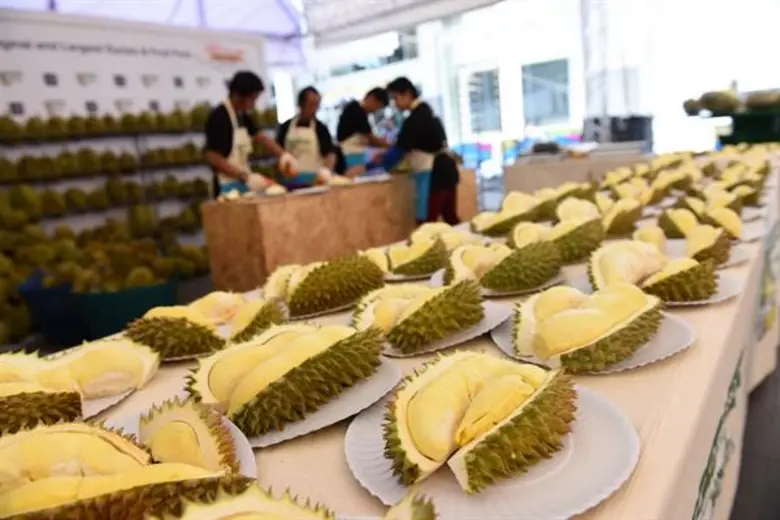 จากกูรู สู่ “คุณทุเรียน” ท็อปส์ เดินหน้าอัพเกรดคุณภาพทุเรียน