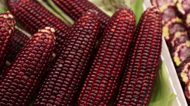 ส่งออกข้าวโพดหวานทิศทางสดใส ครองแชมป์ส่งออกอับดับ 1 ของโลก