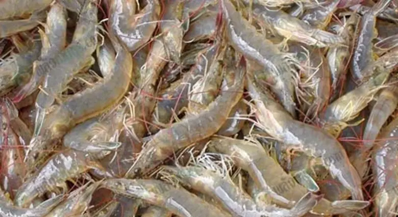 นางสาวจริยา สุทธิไชยา เลขาธิการสำนักงานเศ...