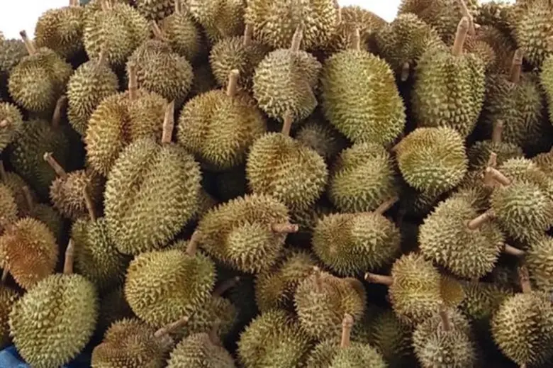 แจงทิศทางดัชนีเกษตร รัฐพร้อมมาตรการช่วยเหลือ รองรับสินค้าสำคัญ แก้ปัญหาราคา-ผลผลิต