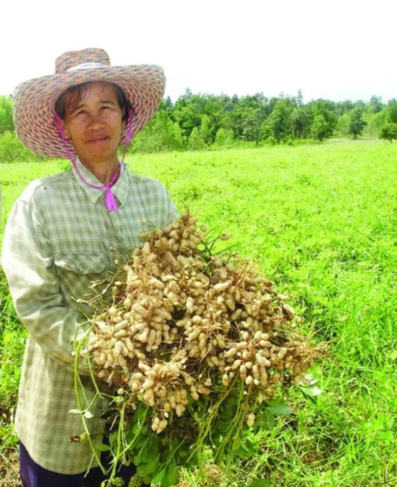 กรมส่งเสริมการเกษตร แจงสิทธิ์รับความช่วยเ...