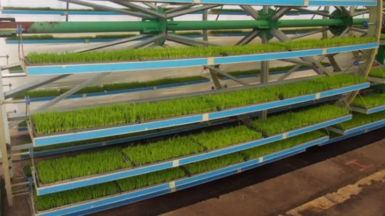 นายประสงค์ ประไพตระกูล อธิบดีกรมการข้าว พ...