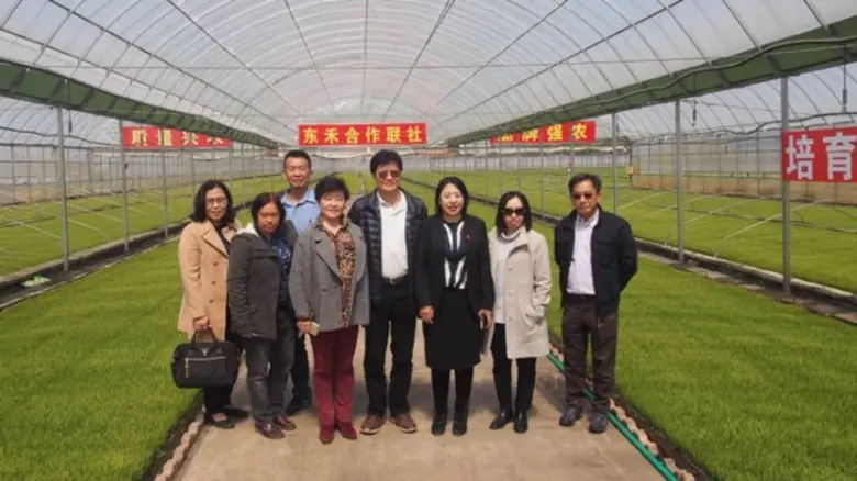 กรมการข้าวเยือนเฮยหลงเจียงดูการผลิตข้าวอินทรีย์ครบวงจร