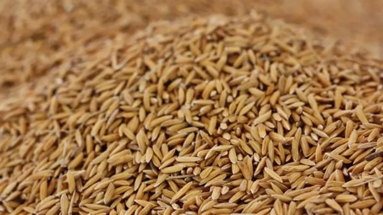 เร่งเจรจาการค้า 'ไทย-ตุรกี’ ปูทางประตูส่งออกสินค้าเกษตร สู่ยุโรป แอฟริกา ตะวันออกกลาง