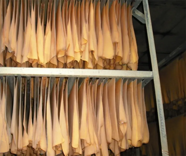 เร่งเจรจาการค้า 'ไทย-ตุรกี’ ปูทางประตูส่งออกสินค้าเกษตร สู่ยุโรป แอฟริกา ตะวันออกกลาง