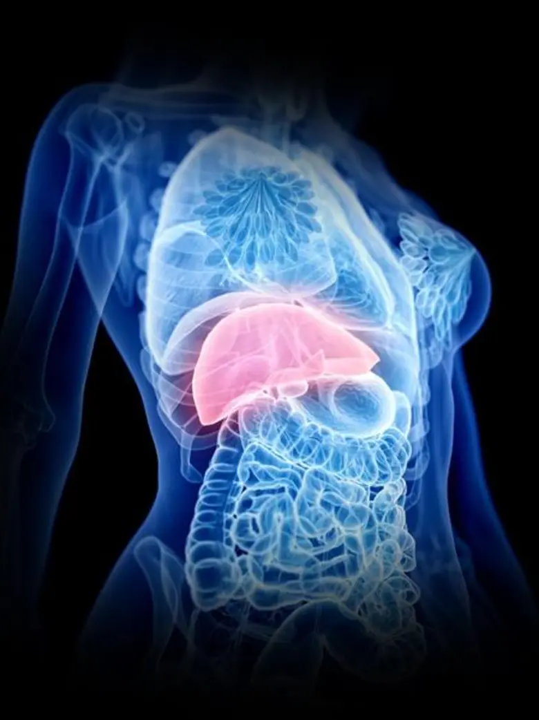 ไขมันพอก ภัยเงียบ กว่าจะรู้ตัวอาจสายเกินไป